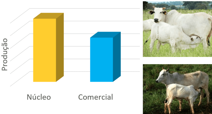 RebanhosMultiplicadores1